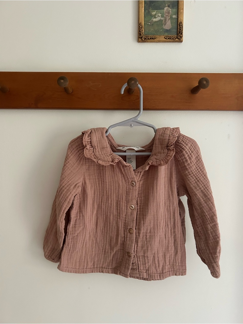Girls' Dusty Rose Ruffled Collar Button-Front Top